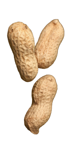 Image Not Found